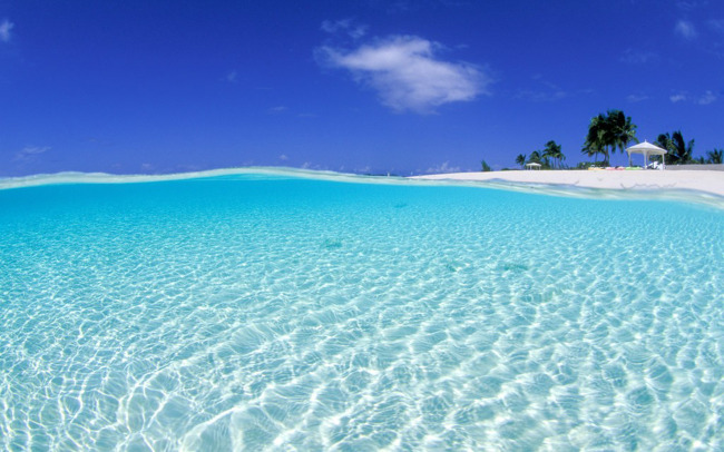 海水